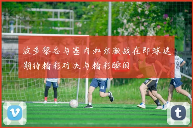 波多黎各与塞内加尔激战在即球迷期待精彩对决与精彩瞬间