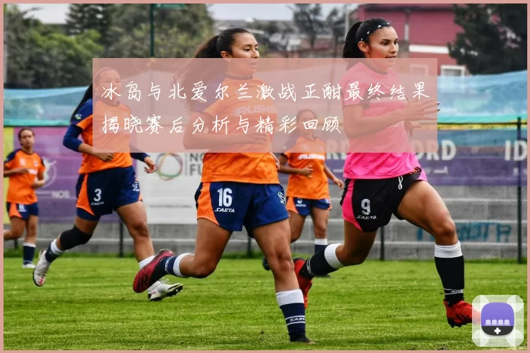 冰岛与北爱尔兰激战正酣最终结果揭晓赛后分析与精彩回顾