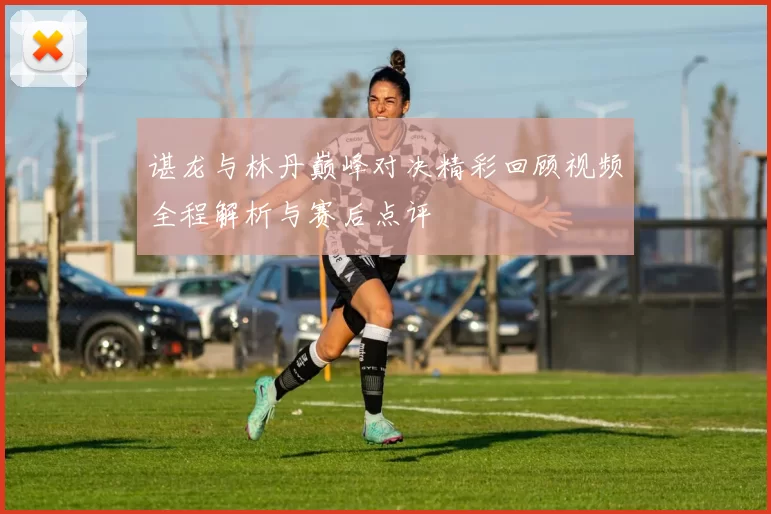 谌龙与林丹巅峰对决精彩回顾视频全程解析与赛后点评