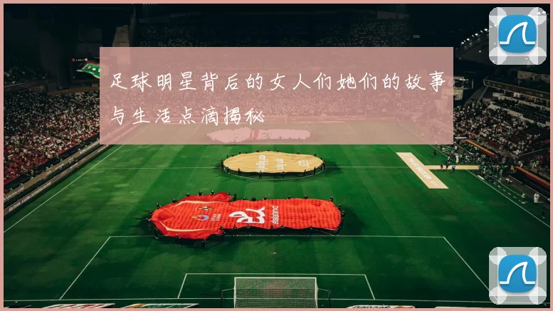 足球明星背后的女人们她们的故事与生活点滴揭秘