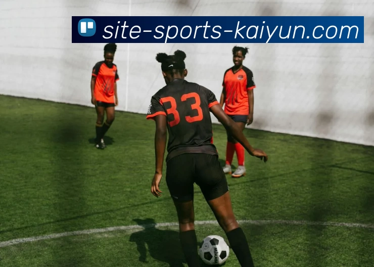 开云平台生态图